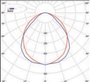  ������ ���� �����